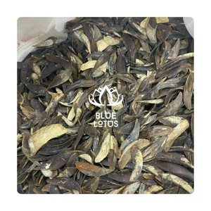 Conchas de Murex Naturales Blue Lotus, Operculum, Material de Incienso Aromático Marrón a Granel para Decoración de San Valentín y Acción de Gracias - Product Image 1
