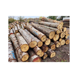 Troncos de madera de roble ofrecidos a precio de descuento para la producción de pisos, muebles y chapa de madera. - Product Image 1