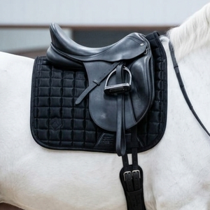 Ensemble complet de tapis de selle matelassé en similicuir noir de luxe pour dressage et saut d'obstacles, avec brosses et protège-encoches pour chevaux - Product Image 4