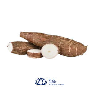 MEILLEURES VENTES |   Racines de Yucca coupées congelées pour une préparation rapide des repas, fourniture en gros pour restaurants et hôtels, Vietnam - Product Image 1