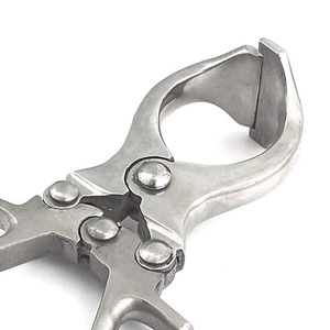 Pinces de castration Burdizzo pour bovins, en acier inoxydable argenté, instruments vétérinaires de haute qualité - Product Image 5