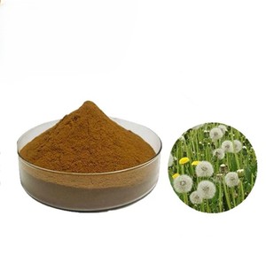 Polvo de Raíz de Diente de León 100% Puro, Secado Naturalmente, Grado Alimenticio, Ayuda a Mantener el Equilibrio Interno (Venta Caliente) - Product Image 4