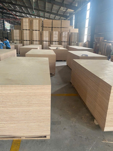 Contreplaqué en placage de bouleau 4x8 de qualité D/DD, certifié E0 E1 CARB P2, fabriqué au Vietnam, pour la fabrication de meubles et les panneaux intérieurs - Product Image 4
