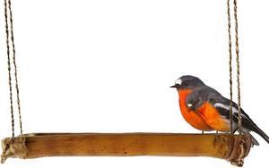 Mangeoire à oiseaux en bois rustique à suspendre pour l'extérieur, jardin, cour, patio, balcon, nourriture pour la faune - Product Image 3