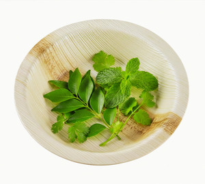 Plato de Servir Desechable de Hoja de Palma Areca de 15 cm, Ecológico, Biodegradable, Grabado, Apto para Microondas, Libre de BPA, Grado Alimenticio - Product Image 2