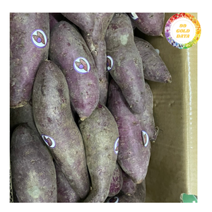 Frozen Sweet Potato <b>Diced</b> For Instant Food Ingredients High Volume Bulk Wholesale Factory Direct Sale - Product Image 4