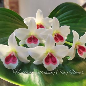 Orchidée artificielle flottante faite à la main, fleurs de marguerite en argile, ornement décoratif pour bassin, patio, maison, jardin - Product Image 1