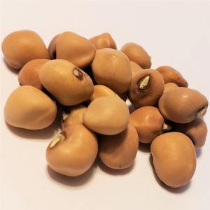 Guisantes Negros de Primera Calidad, Frescos y Naturales, Ideales para Compra al por Mayor y Exportación - Product Image 6