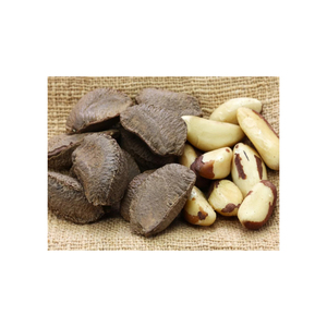 Nuez de Macadamia (con y sin cáscara) - Mejor Precio y Calidad. NUECES DE BRASIL – CASTAÑAS - Product Image 6