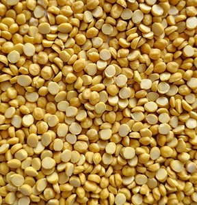 Chana Dal Convencional de Calidad Premium, Seca, en Empaque a Granel de 30 kg, Tamaño Uniforme y Gran Calidad, Ideal para Sopa de Curry y Fabricación de Snacks - Product Image 1