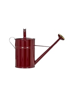 Regadera industrial de acero para trabajos de jardinería intensivos, con pico largo, estructura duradera, revestimiento en polvo antirust, cuerpo resistente. - Product Image 4