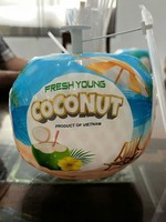 Vietnam Eenvoudig Open Kokosnoot Stijl Premium Drinkkokosnoot Met Hoog Watergehalte Verpakt Voor Supermarkten En Distributeurs