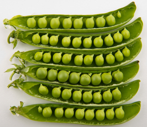 Petits pois verts surgelés IQF de qualité supérieure, frais et naturels, pour restaurants, traiteurs et industrie alimentaire – Meilleure offre promotionnelle - Product Image 1