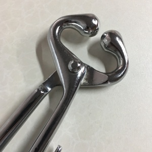 Premium Quality Stainless Steel Bull Nose Holder Heavy Duty Livestock Handling <b>Tool</b> for <b>Safe</b> Cattle and Farm Use By Tegra - Product Image 4