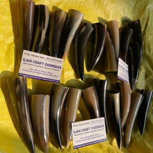 Punta de Cuerno de Búfalo Natural, Color Natural, Alta Calidad - Product Image 1