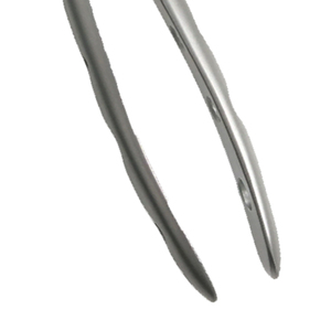 ARISTON INTERNATIONAL Forceps d'extraction dentaire de haute qualité, modèle anglais, en acier inoxydable, pince manuelle certifiée CE - Product Image 3