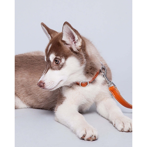 Classic Design Grain Leather Pet Collars Private Labels Acceptable Adjustable Buckle Style <b>Dogs</b> Leather Collar In Low MOQ - Product Image 2