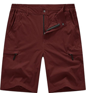 Shorts décontractés pour hommes en molleton 100 % coton, coupe classique, taille haute élastique, brodés, anti-plis, multi-poches, couleur et logo personnalisables - Product Image 1