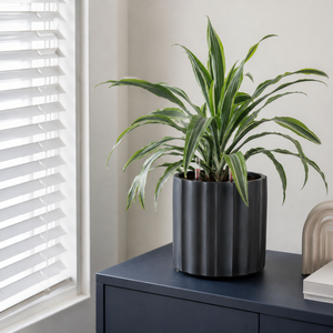 Elegant Matte Black Reeded Cylinder Planter Fiberglass Set of Four Nesting Pots Indoor Outdoor Home <b>Garden</b> Decoration - Product Image 4