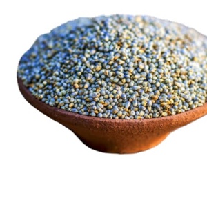 อินเดีย bajra millets-เหมาะสำหรับอาหารอินเดียแบบดั้งเดิม | ไข่มุกข้าวฟ่าง (bajra)-ธัญพืชอเนกประสงค์สำหรับทำอาหาร - Product Image 1
