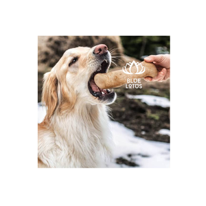 BEST SELLER Jouet pour chien en bois d'arbre à café naturel, longue durée, sûr pour le nettoyage des dents, écologique - Product Image 1