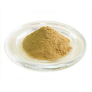 Extracto de Achyranthes Aspera en Polvo a Granel de Fábrica, Extracto Herbal Estandarizado para Formulaciones Ayurvédicas OEM ODM - Product Image 1