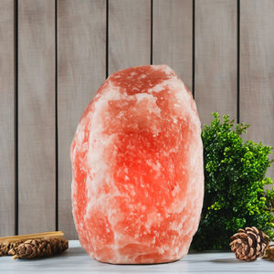 Lampe au sel de l'Himalaya en gros cristal de roche naturel sculpté à la main lumière saine décoration relaxante OEM ODM en vrac de haute qualité - Product Image 1