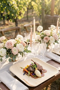 New Disposable Eco <b>Plates</b> 8 Inches Square for Birthday Celebrations <b>Plates</b> Modern Dining Solutions Restaurants and Hotel <b>Plates</b> - Product Image 1
