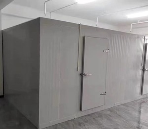 Çok satan yeni yüksek kaliteli taşınabilir soğuk oda çin tedarikçisi özelleştirilmiş düşük fiyat soğuk depolama soğutma odası - Product Image 4