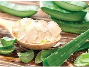 FRESH PRODUCT | NATURAL ALOE VERA <b>JELLY</b> | HEALTHY REFRESHING TOPPING FOR MODERN BEVERAGES - Product Image 5