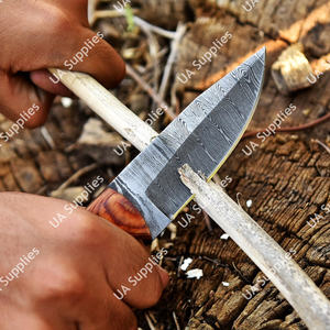Couteau de chasse professionnel à lame fixe droite en acier Damas forgé à la main, manche intégral, pour camping en extérieur, 4,8 cm, bois Pakka - Product Image 5