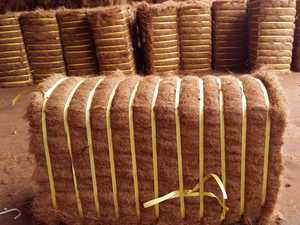 Soft Coconut Coir Fiber Affordable Fiber Block 2025 Blue Lotus Farm Direct Supply - Product Image 4