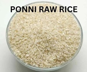 El Mejor Arroz Blanco Ponni Crudo Sin Parboilar de la India, 2% de Grano Partido, No Basmati, Grano Largo, Arroz Seco Sanderi para Exportación - Product Image 5