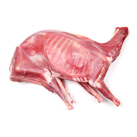 Carcasse d'agneau HALAL fraîche surgelée IQF, qualité supérieure, grade A, 25 kg, origine Royaume-Uni, prête à l'exportation