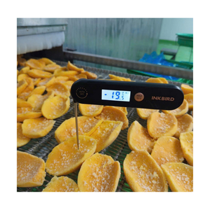 มะม่วงแช่แข็ง บรรจุในถุง PE กล่อง 10 กก. เวียดนาม มาตรฐานส่งออก IQF - Product Image 5