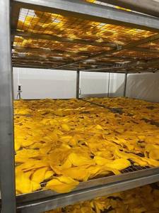 Tranches de mangue séchées de qualité supérieure Sans sucre ajouté Sans gluten Végétalien - Product Image 4