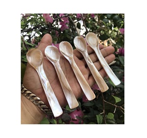 Cuchara de Concha Hecha a Mano de 10 ml, Diseño Minimalista Ecológico, Mango Corto, Acabado Espejo, para Servir Postres y Ensaladas - Product Image 1