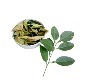 Persediaan pembuat obat Herbal Cina daun Lemon kering kualitas tinggi dengan harga yang menguntungkan