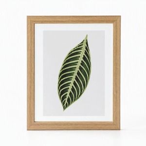 REHMAN CRAFT Cadre photo rectangulaire en bois massif fait main, écologique, décoratif, avec passe-partout pour photos de mariage et de famille - Product Image 1