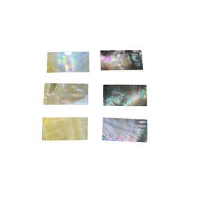 Éclats de nacre naturelle de qualité supérieure pour la création de bijoux, la décoration intérieure et l'artisanat vietnamien. - Product Image 6