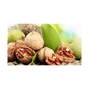 Vente en gros de noix en vrac à prix abordable, qualité export premium - Product Image 6