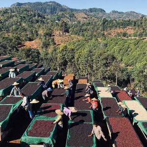 Arabica Specialty original Roasted <b>Bean</b> For Espresso 500gr/bag - High Quality <b>Coffee</b> Machine - Customized Packagi - Product Image 2