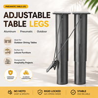 Matériel de levage pneumatique à double colonne à ressort à gaz - Bureau debout réglable en hauteur en aluminium robuste pour atelier extérieur et bureau