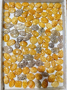 Lot de pierres naturelles agatifiées de corail fossile, cabochons à motifs rares, pierres précieuses en vrac pour la fabrication de pendentifs, bagues et bijoux - Prix de gros - Product Image 3