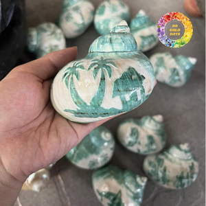 Conchas Marinas Naturales Talladas a Mano, Pulimentadas con Perla, Duraderas, para Decoración de Playa y Océano, Venta al Por Mayor - Product Image 3