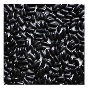 Soja Negra CREKS al por Mayor, 25 kg, Seca, Natural, Auténtica, Calidad Garantizada, Precio Bajo, 24 Meses de Vida Útil - Product Image 5