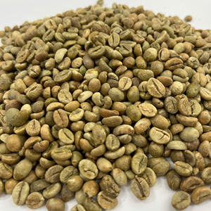 Café Vert Robusta du Vietnam Grade 1 Marque NT COFFEE pour Vente en Gros Exportation OEM Étiquette Privée Emballage Personnalisé - Product Image 1