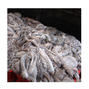 Poulpe Congelé de Qualité Supérieure en Gros, Grade Alimentaire, Stock Prêt, Fournisseur d'Exportation de Confiance - Product Image 4