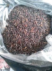 Riz Glutineux Noir Premium de Haute Qualité pour Vente en Gros, Fourniture en Vrac, Riz Biologique Non-OGM Traditionnel Asiatique, Prix Abordable - Product Image 4