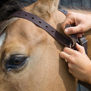 Opciones de Empaque Personalizado: Cabestros Ecuestres de Cuero Genuino Cómodos para Montar a Caballo - Product Image 3